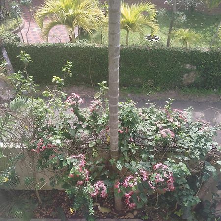 Paradise Inn Guest House Alappuzha Екстер'єр фото