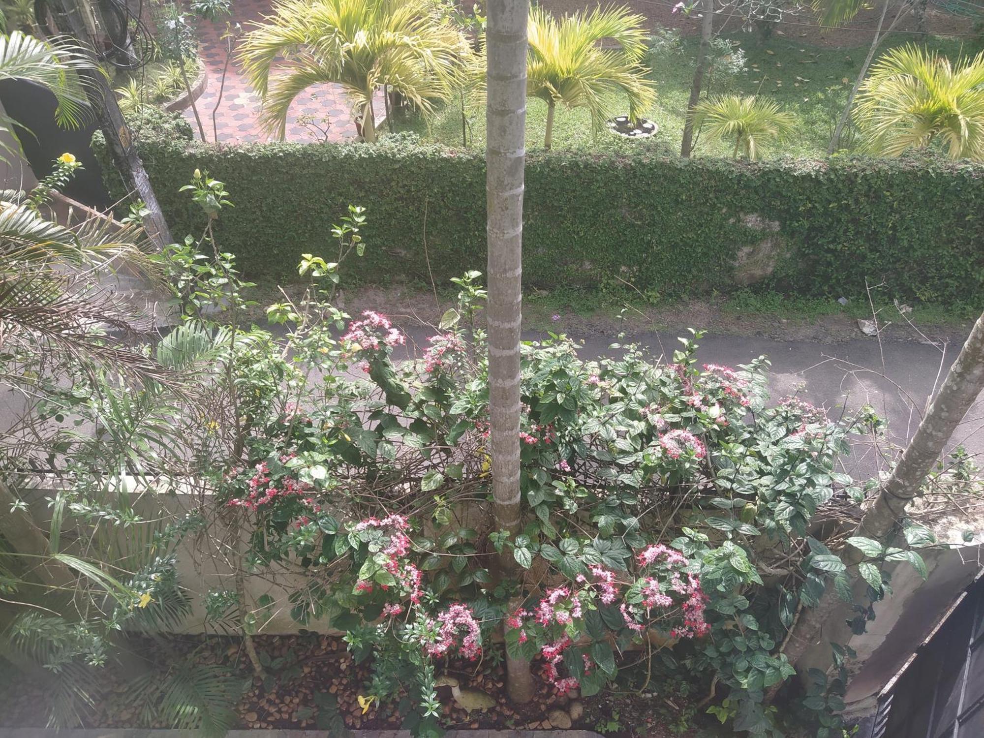 Paradise Inn Guest House Alappuzha Екстер'єр фото